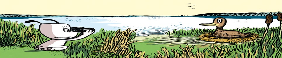 Hunden Ib - Hunden Ib hjælper en and